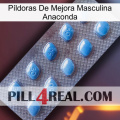 Píldoras De Mejora Masculina Anaconda viagra3